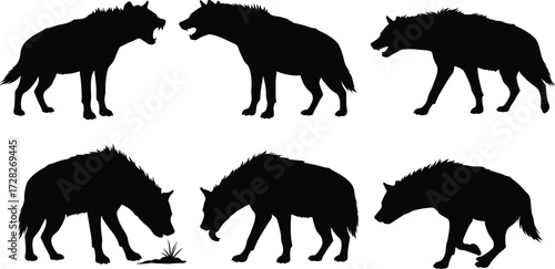 Wolf silhouettes, wild animal, forest predator, sniffing pose, growling stance, walking wolf, nature behavior, black shapes, wildlife study, canine motion