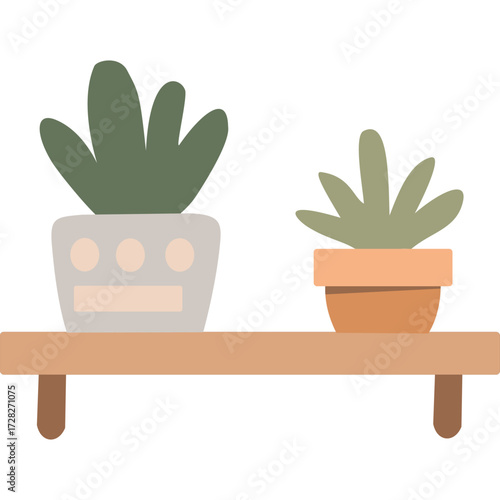 Succulent Plants on Shelf