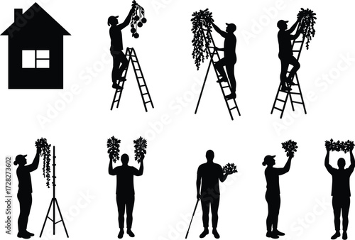 Silhouette farmers, harvesting crops, agriculture activity, people with plants, gardening lifestyle, rural work,