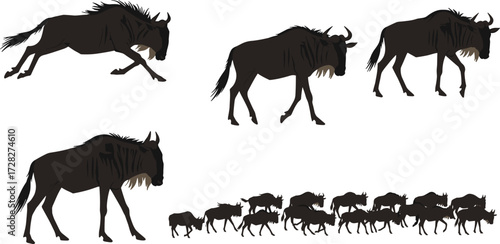 Wildebeest silhouettes, walking herd, running animal, African wildlife, migration scene, savannah movement, nature pose, black shapes, group behavior, wild mammals