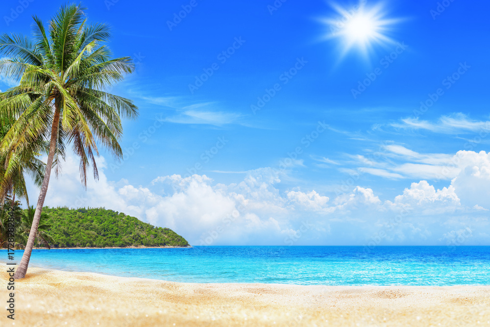Fototapeta premium Sea beach, paradise tropical island, turquoise ocean water, beautiful exotic nature landscape, coconut palm tree, yellow golden sand, sun blue sky white clouds, summer holiday, vacation, travel banner