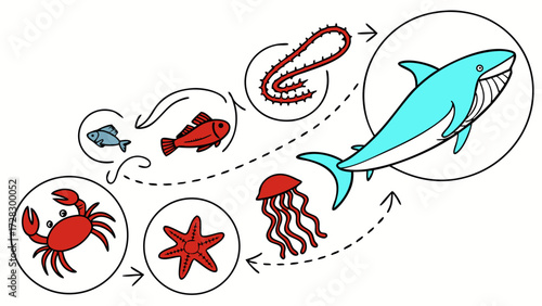 Ocean Food Chain Vector Icon Set – Flat Style Plankton, Small Fish, Bigger Fish, Shark, Whale, Educational Marine Life Stickers for Kids Learning and Infographics