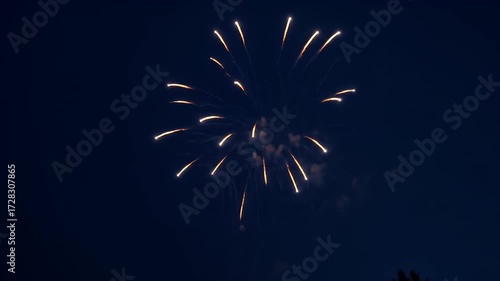 Fireworks burst in the night sky, forming a star with streaks