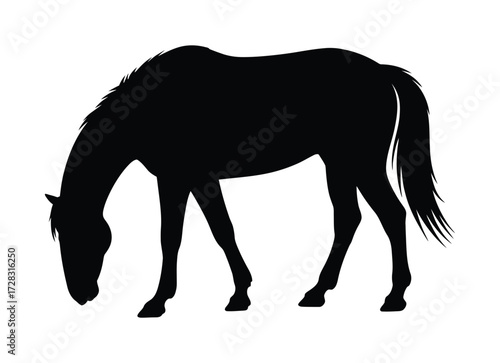 Silhouette of a horse grazing in a field with its head down