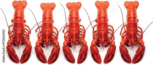 Create Five Red Lobsters in a Row on White Background