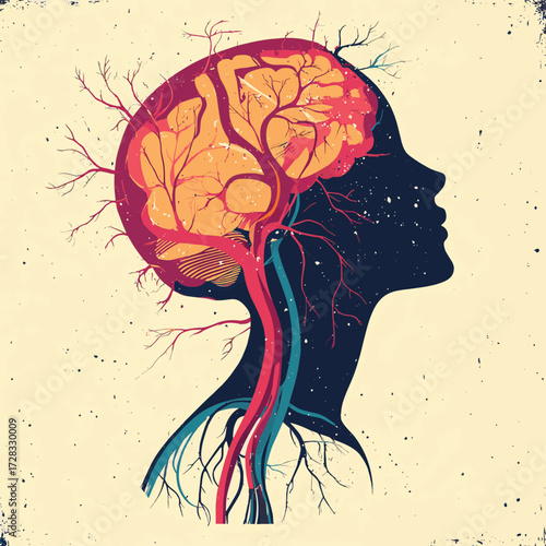 Woman's brain neural pathways and nerves related to polyvagal theroy.  , vector style simple color