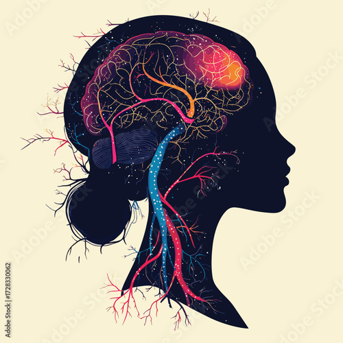 Woman's brain neural pathways and nerves related to polyvagal theroy.  , vector style simple color