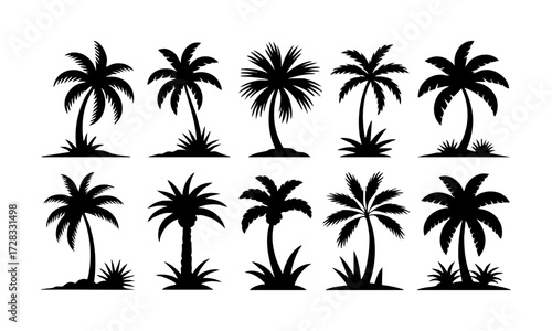 Palm Tree Silhouette Set Minimal Tropical Vector illustration Icons on White, t-shirt design elements, Silhouette tree, easily editable.