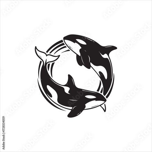 Two orcas swimming in a circular motion, creating a dynamic and elegant design.