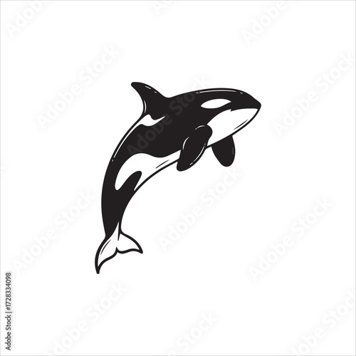 A black and white illustration of an orca whale leaping upwards, showcasing its distinctive markings and streamlined form.