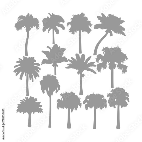 Palm tree silhouettes. Black palm trees symbols with tropical foliage. Relaxed exotic vibe, vacation mood. Nature icons for logos, web, travel brochures, pattern design. Vector set.