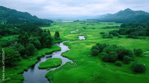 Lush Green Rice Field Valley with Winding Stream and Distant Mountains Under Cloudy Sky in Daytime