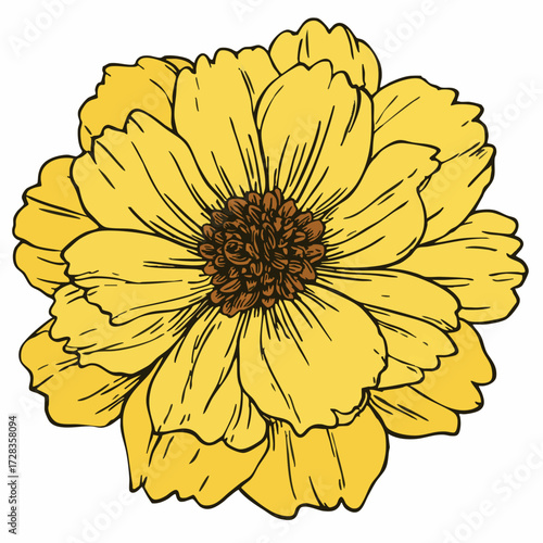 Detailed Lineart Yellow Marigold Blossom Flower Head Illustration Design