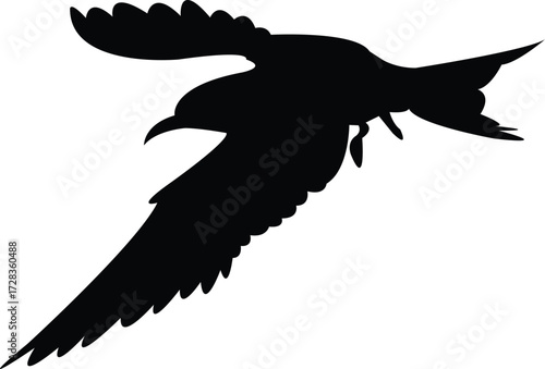 Flying Antarctic tern Bird Silhouette Design And Vector Illustration. 