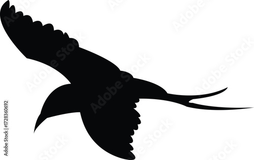Flying Antarctic tern Bird Silhouette Design And Vector Illustration. 