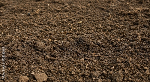 Rich, dark, fertile soil texture with visible organic matter and fine particles, perfect for agricultural and gardening backgrounds, showcasing natural earthiness and growth potential.