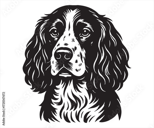 English Springer Spaniel Vector | Hunting Dog Cartoon Illustration