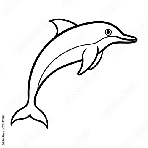 dolphin isolated on white background