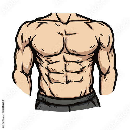 Handdrawn Sketch Muscular Torso Anatomy Illustration Graphic Design Element