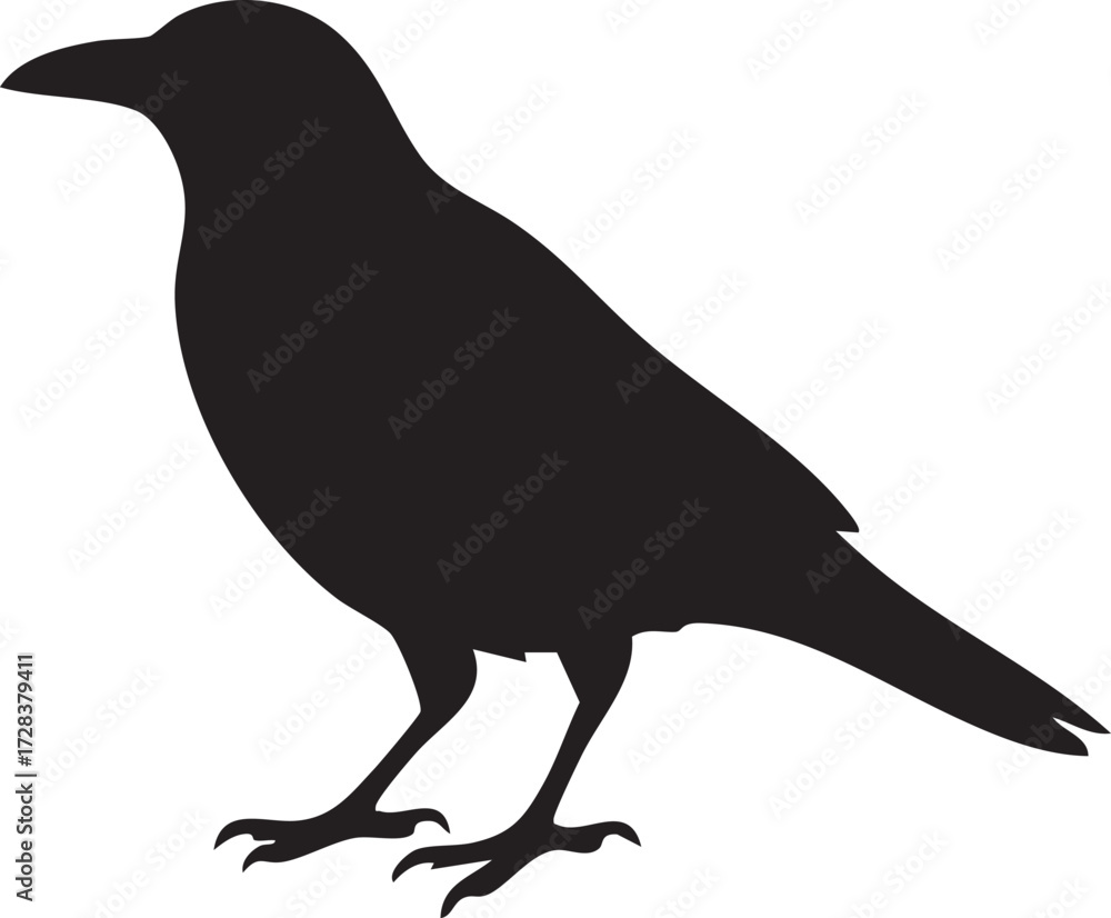 Obraz premium crow silhouette vector