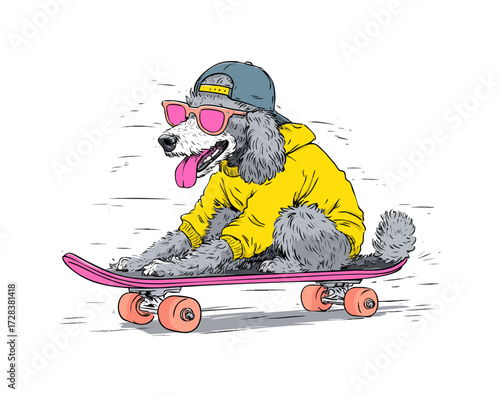 Funny Poodle Playing Skateboarding