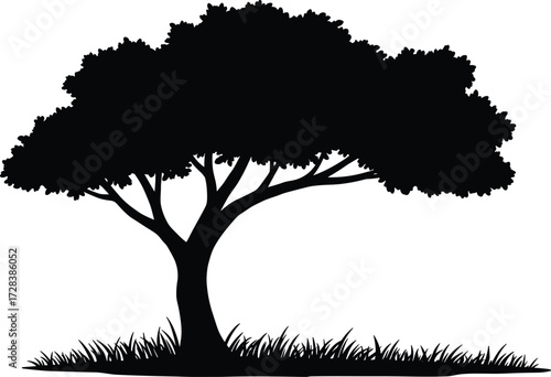 Tree silhouette, black tree art, nature illustration, thick trunk tree, grassy base, outdoor design, minimal style, forest element, botanical sketch