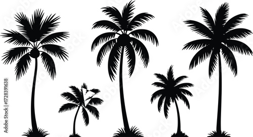 Palm tree silhouette set with tropical shapes, black vector illustration for nature, travel, summer, beach, and botanical design themes
