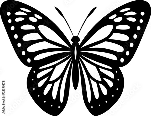 butterfly vector illustration, Monarch Butterfly Isolated on White Background