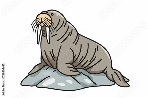 Cute Cartoon Style Walrus on Iceberg Marine Mammal Illustration
