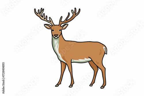 Cartoon Style Detailed Deer Illustration Woodland Animal Isolated on White