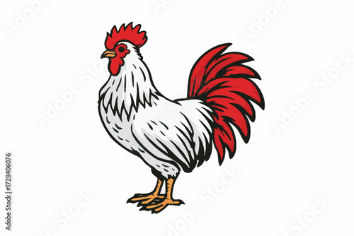 Vintage Lineart Style Rooster Farm Animal Poultry Bird Illustration