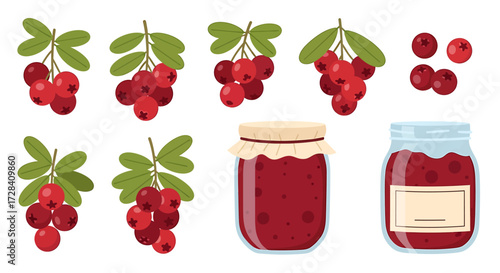 Collection of Fresh Cranberries and Homemade Jam Jars