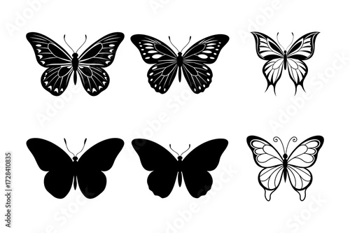 set of vector butterflies