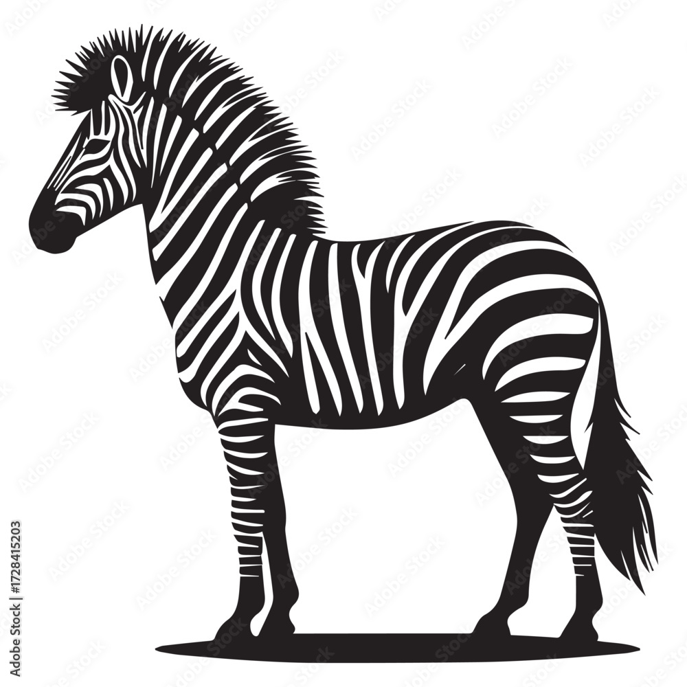 Obraz premium Zebra silhouette vector with white background