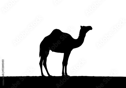 Vector art of silhouette of camel standing against plain background with minimalist design