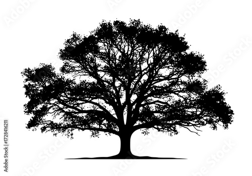 Vector art of silhouette of a large tree with dense branches and foliage