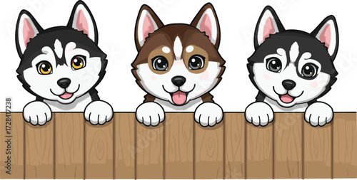 Cute cartoon husky puppies behind wooden fence, adorable playful dogs smiling, happy Siberian husky illustration for pet design and decoration