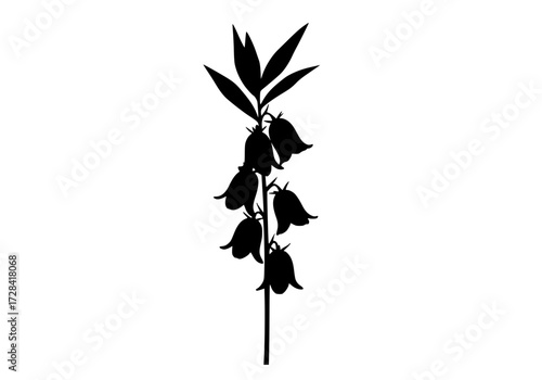 Vector art of elegant black silhouette of bellflower stem with leaves and buds