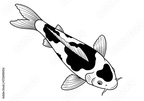 Vector art of black and white line drawing of koi fish with detailed scales and fins