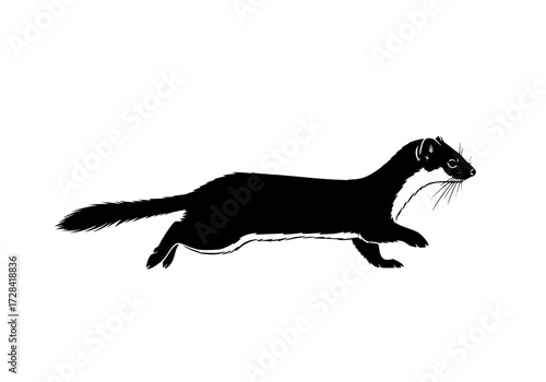 Vector art of black silhouette of weasel running sideways