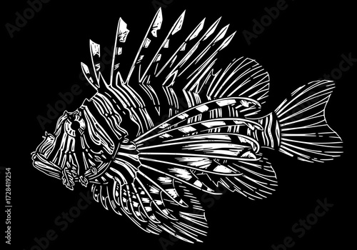 Vector art of detailed black and white line art illustration of a lionfish with intricate fin patterns and spiky dorsal fins
