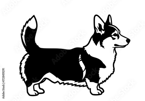 Vector art of black and white line drawing of a welsh corgi standing