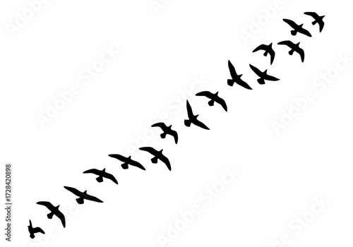 Vector art of flock of birds in flight formation silhouette