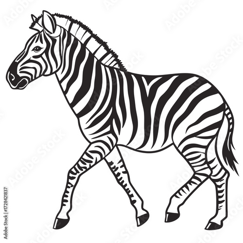 Illustration of a zebra walking, black and white.