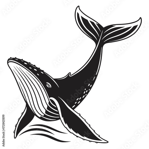 A stylized black and white illustration of a humpback whale breaching from the water.