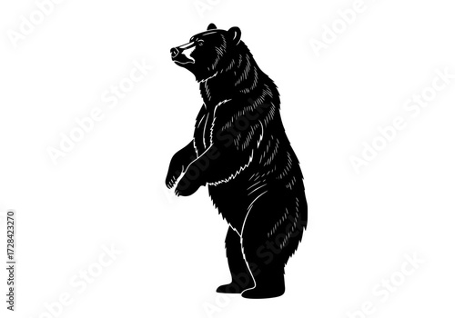 Vector art of black silhouette of bear standing on hind legs