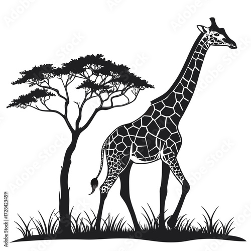 A striking black and white illustration of a giraffe standing next to an acacia tree in a grassy savanna landscape.