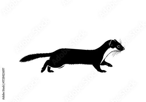 Vector art of black silhouette of a weasel walking