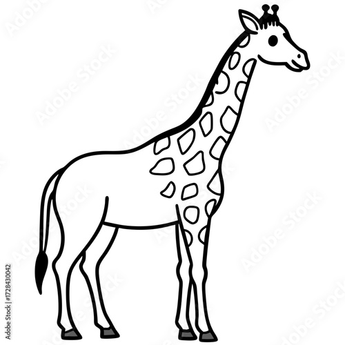 Giraffe Standing Outline Vector
