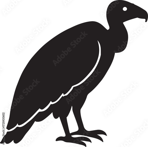 vector illustration of a cartoon vulture